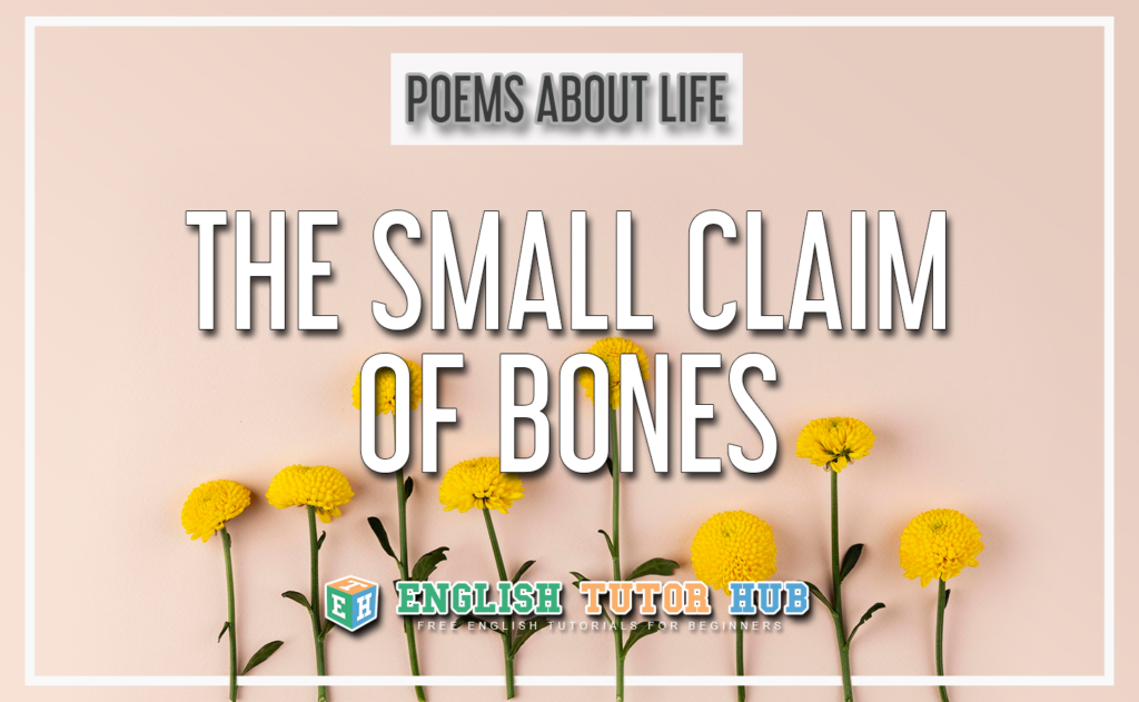 Poems About Life - The Small Claim of Bones