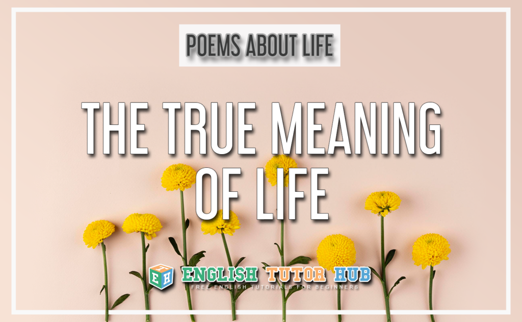 The True Meaning of Life - A Poem About Life (Summary and Lesson) 2021