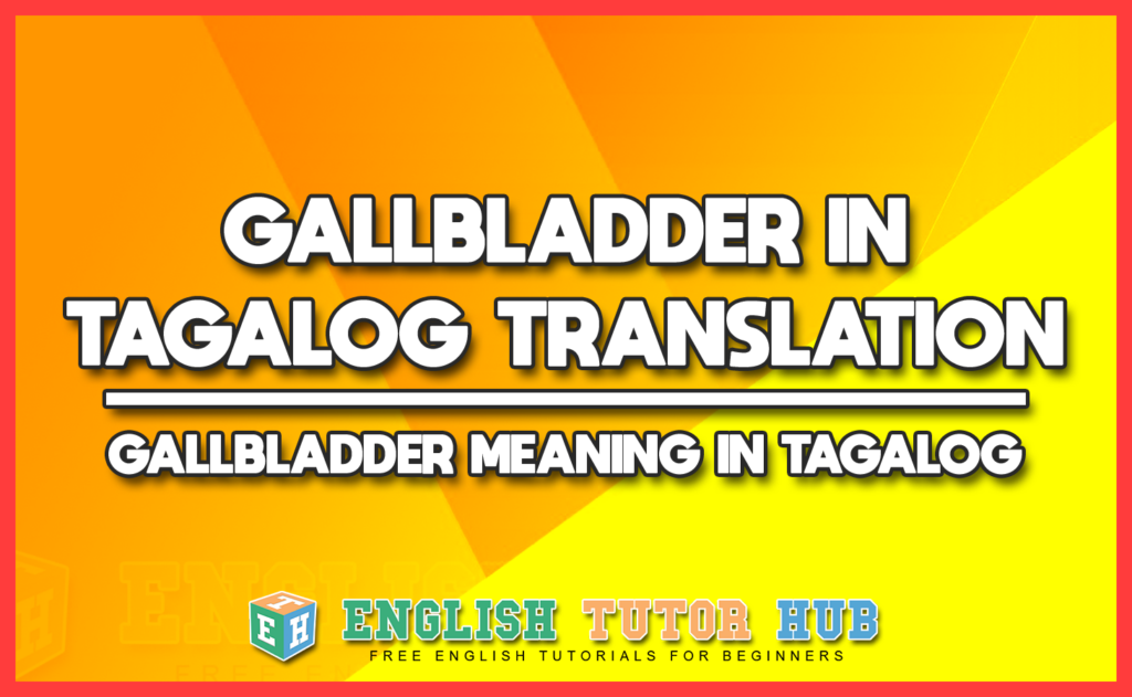 GALLBLADDER IN TAGALOG TRANSLATION - GALLBLADDER MEANING IN TAGALOG