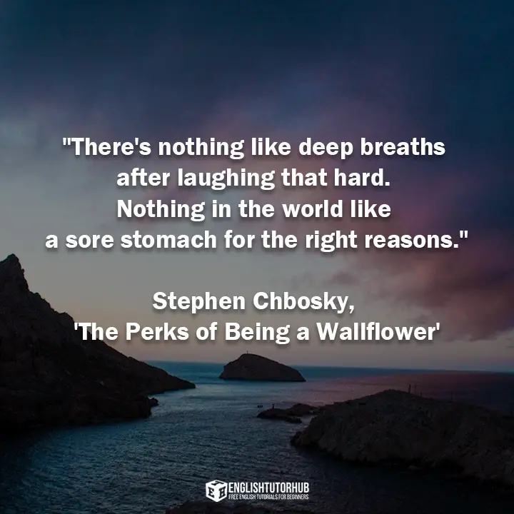 Stephen Chbosky The Perks of Being a Wallflower