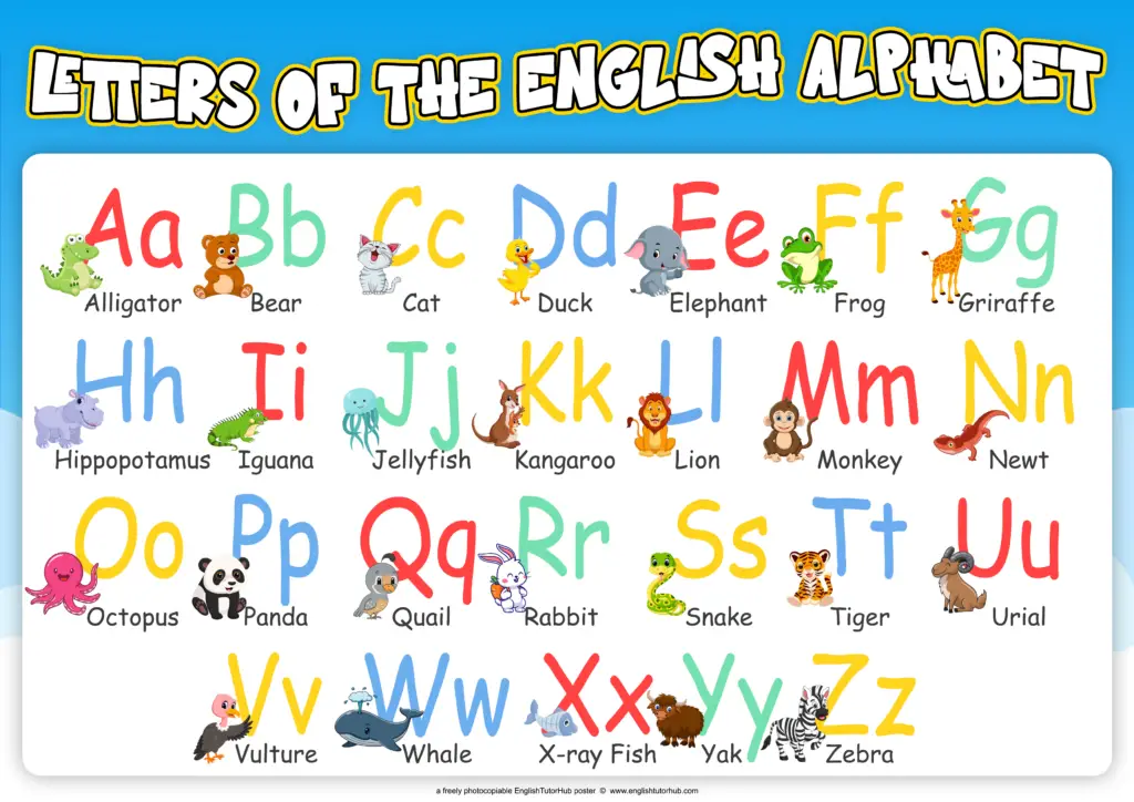 Small And Large Letters of the English alphabet
